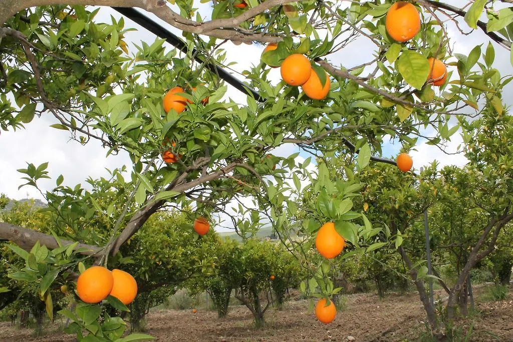 Acquaviva Platani Tenuta Lanza Il Mulino