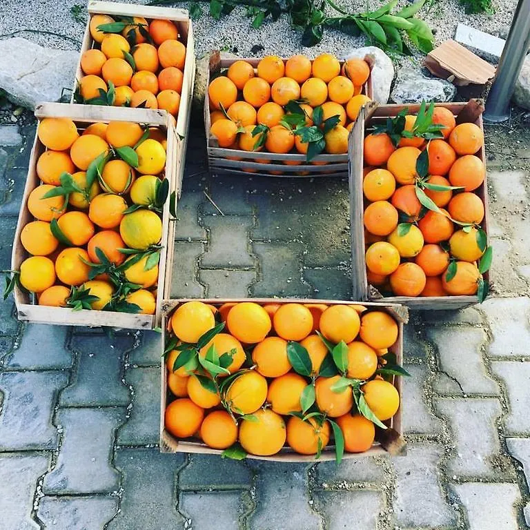 Tenuta Lanza Il Mulino Acquaviva Platani 0*,